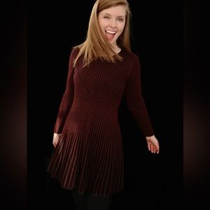 Express sweater skater dress